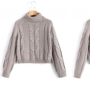 Zaful Turtleneck Cropped Knit Sweater